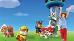 Paw Patrol Wallpapers - 4k, HD Paw Patrol Backgrounds on Wal